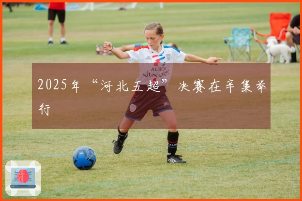 2025年“河北五超”决赛在辛集举行