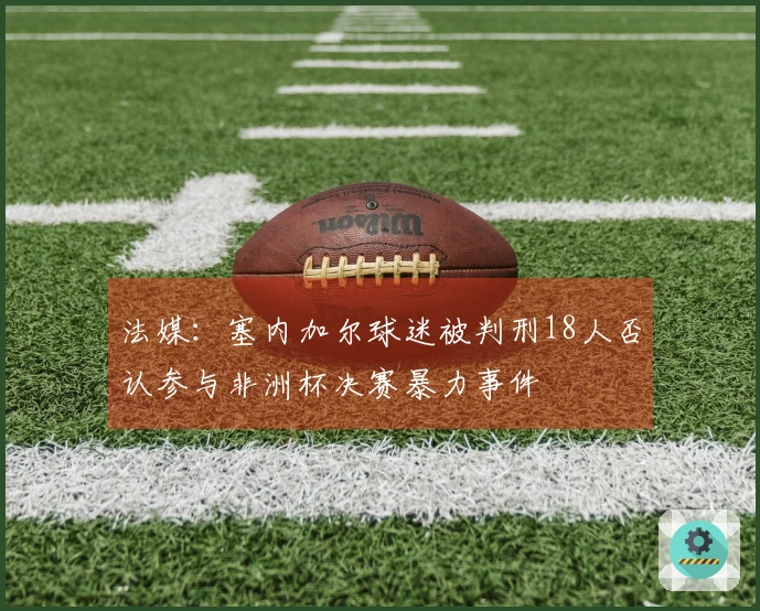 法媒：塞内加尔球迷被判刑18人否认参与非洲杯决赛暴力事件
