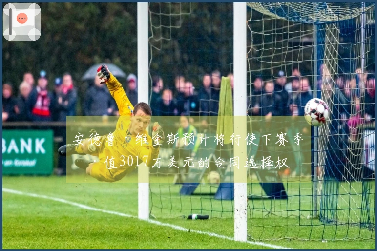 安德鲁·维金斯预计将行使下赛季价值3017万美元的合同选择权