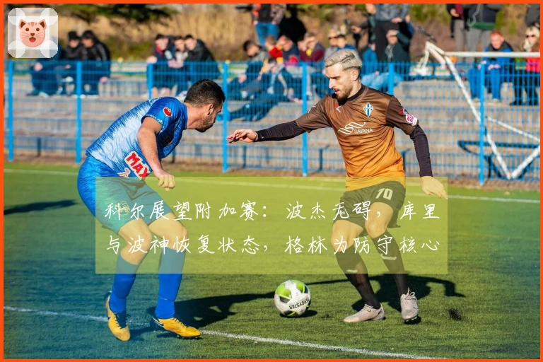 科尔展望附加赛：波杰无碍，库里与波神恢复状态，格林为防守核心