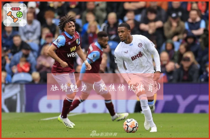 独特魅力（聚焦传统体育）